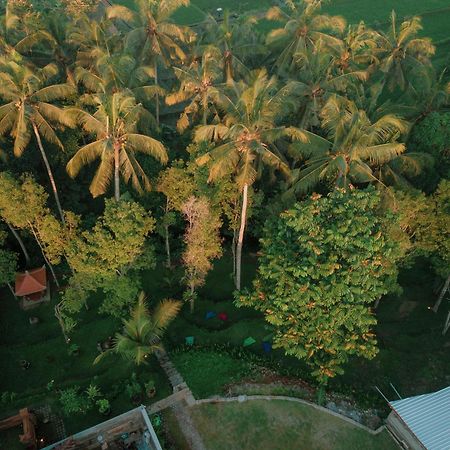 Bali Made Escape Otel Payangan Dış mekan fotoğraf