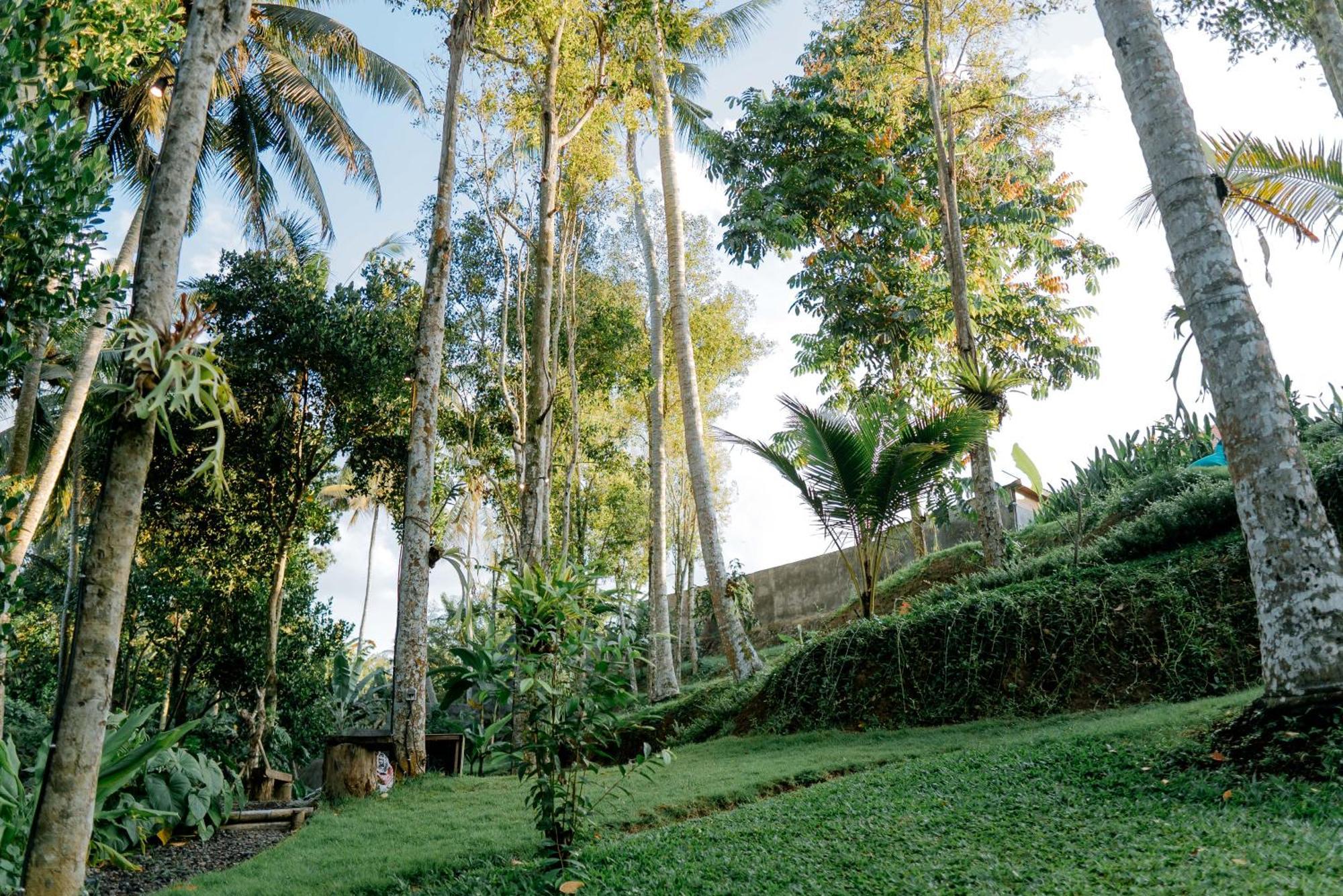 Bali Made Escape Otel Payangan Dış mekan fotoğraf