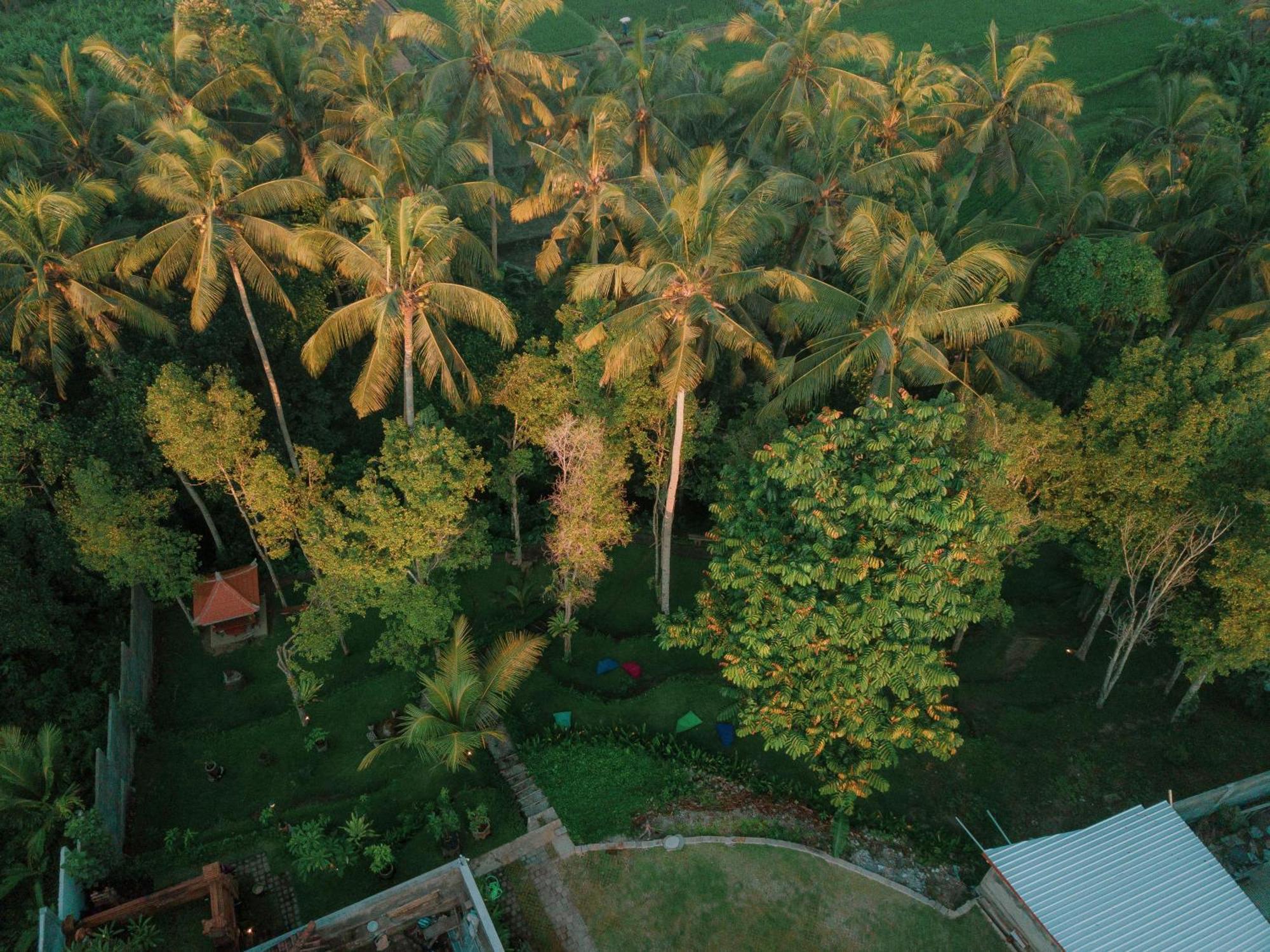 Bali Made Escape Otel Payangan Dış mekan fotoğraf